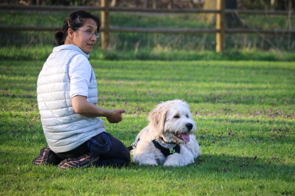 The current image has no alternative text. The file name is: 616af6f4abb65607071e515e_doggily-private-dog-training.jpg